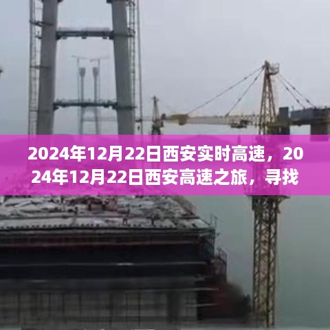 西安高速之旅，探尋自然懷抱，心靈寧?kù)o之旅（2024年12月22日）