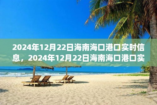 2024年12月22日海南?？诟劭趯?shí)時(shí)信息全解析，小紅書帶你掌握最新動(dòng)態(tài)