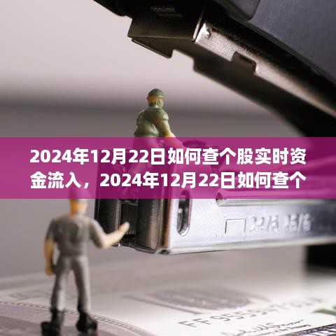 多維度解析與觀點(diǎn)探討，如何查詢個股實(shí)時(shí)資金流入——以2024年12月22日為例