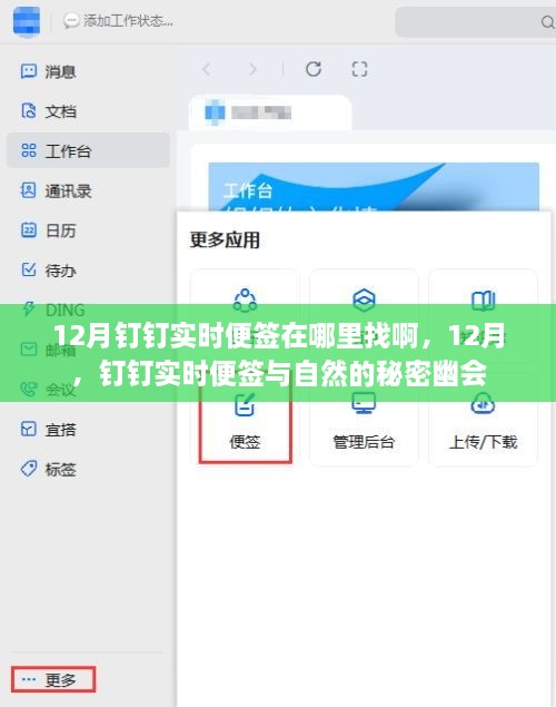 揭秘12月釘釘實(shí)時(shí)便簽位置與自然的秘密互動(dòng)