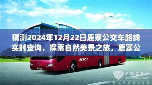 鹿寨公交路線新探秘，啟程2024年12月22日，探尋自然美景之旅實(shí)時(shí)查詢