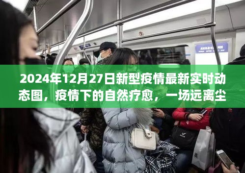 疫情下的自然療愈之旅，探尋內(nèi)心平靜與新型疫情的實時動態(tài)圖