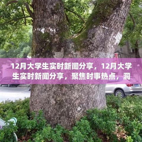 聚焦時事熱點，大學生實時新聞分享，洞察時代變遷的十二月觀察