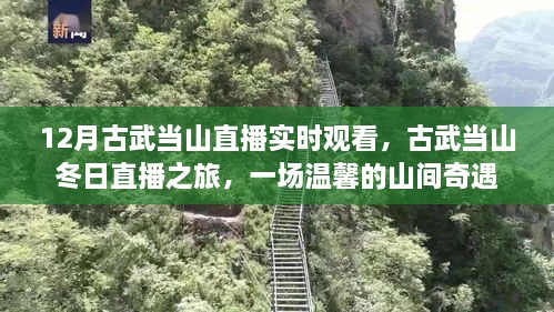 古武當山冬日直播之旅，探尋山間奇遇的溫馨之旅