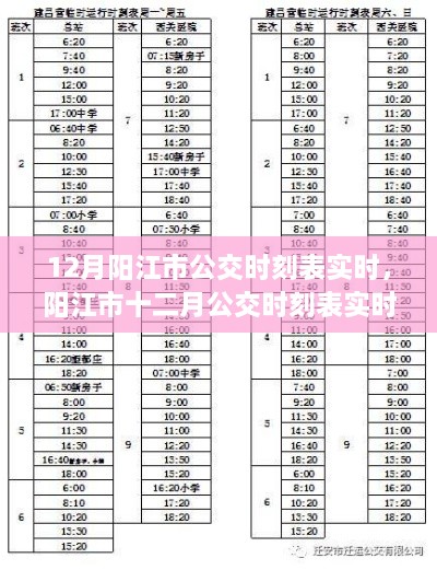 陽江市公交時刻表實時更新解析，十二月公交運營動態(tài)觀察