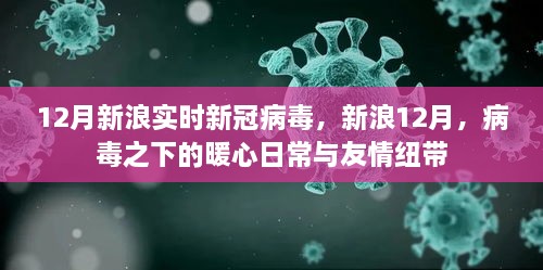 新浪12月，病毒下的暖心日常與友情紐帶，實(shí)時(shí)新冠病毒報(bào)道