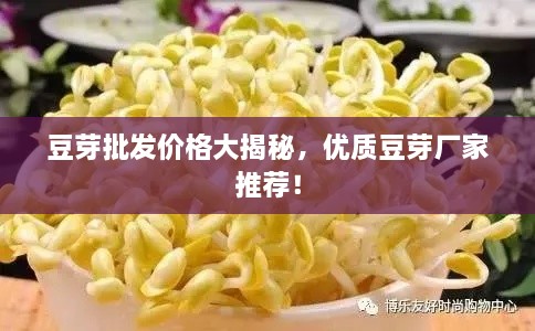 豆芽批發(fā)價格大揭秘，優(yōu)質(zhì)豆芽廠家推薦！