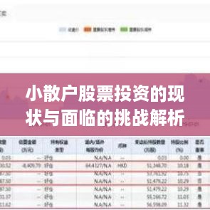 小散戶(hù)股票投資的現(xiàn)狀與面臨的挑戰(zhàn)解析