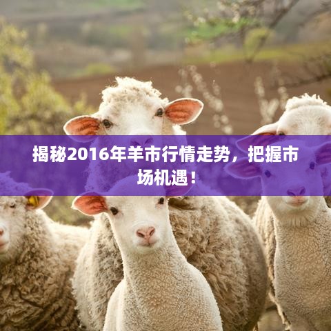 揭秘2016年羊市行情走勢，把握市場機遇！