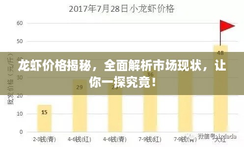 龍蝦價(jià)格揭秘，全面解析市場(chǎng)現(xiàn)狀，讓你一探究竟！