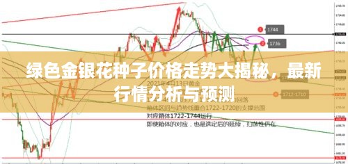 綠色金銀花種子價(jià)格走勢大揭秘，最新行情分析與預(yù)測