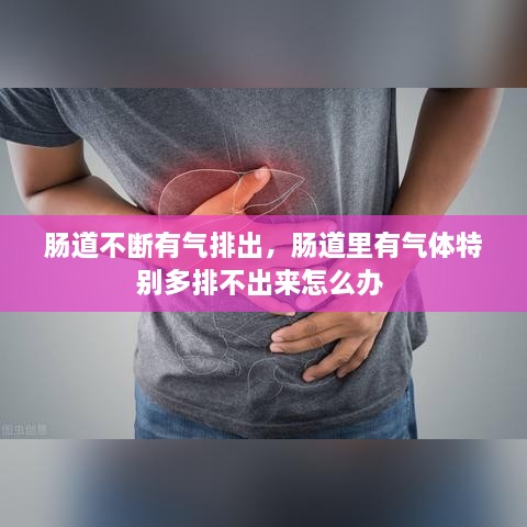 腸道不斷有氣排出，腸道里有氣體特別多排不出來怎么辦 