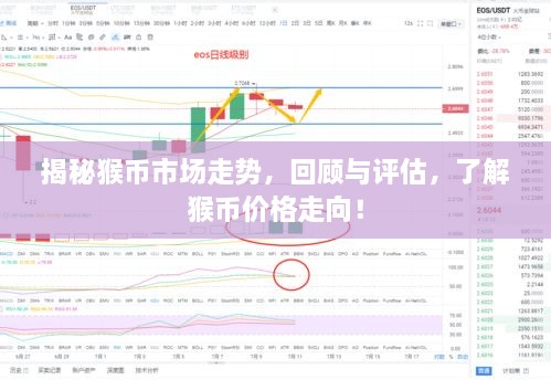揭秘猴幣市場(chǎng)走勢(shì)，回顧與評(píng)估，了解猴幣價(jià)格走向！