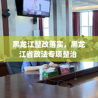 黑龍江整改落實，黑龍江省政法專項整治 