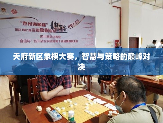 天府新區(qū)象棋大賽，智慧與策略的巔峰對(duì)決