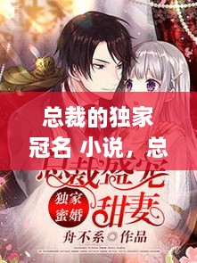 總裁的獨家冠名 小說，總裁的獨家盛寵全文免費閱讀 