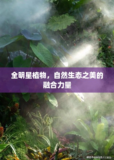 全明星植物，自然生態(tài)之美的融合力量