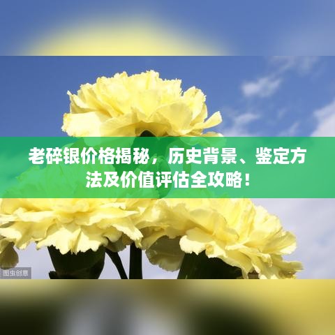 老碎銀價格揭秘，歷史背景、鑒定方法及價值評估全攻略！