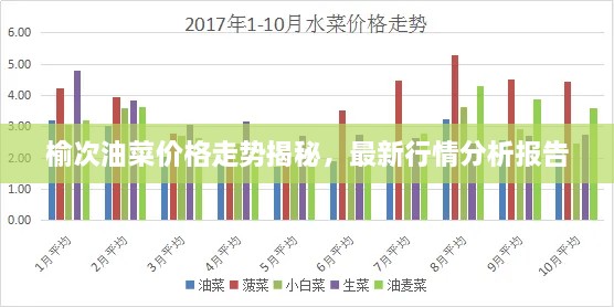 榆次油菜價(jià)格走勢(shì)揭秘，最新行情分析報(bào)告