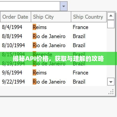 揭秘API價(jià)格，獲取與理解的攻略