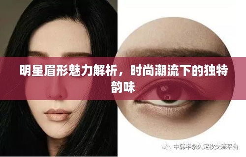 明星眉形魅力解析，時(shí)尚潮流下的獨(dú)特韻味