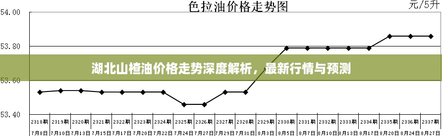 湖北山楂油價(jià)格走勢(shì)深度解析，最新行情與預(yù)測(cè)