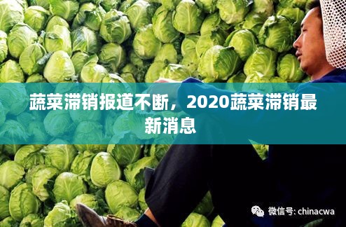 蔬菜滯銷報(bào)道不斷，2020蔬菜滯銷最新消息 