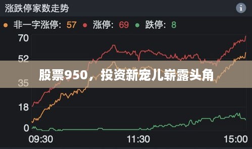 股票950，投資新寵兒嶄露頭角