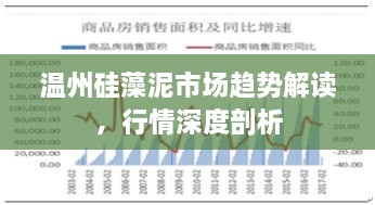 溫州硅藻泥市場趨勢解讀，行情深度剖析