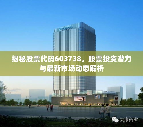 揭秘股票代碼603738，股票投資潛力與最新市場動態(tài)解析