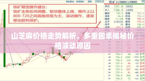 山芝麻價格走勢解析，多重因素揭秘價格波動原因