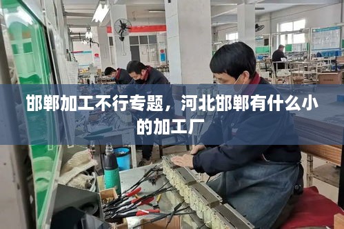 邯鄲加工不行專題，河北邯鄲有什么小的加工廠 