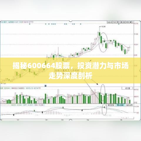 揭秘600664股票，投資潛力與市場走勢深度剖析