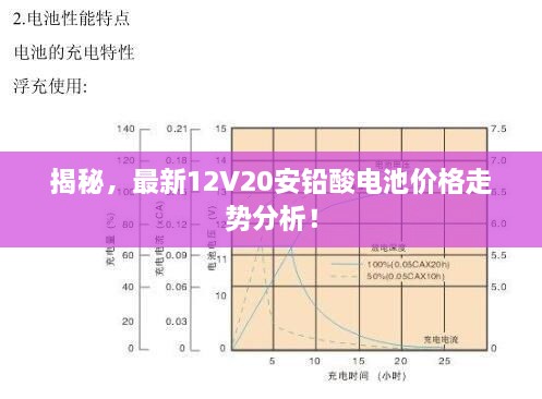 揭秘，最新12V20安鉛酸電池價(jià)格走勢分析！