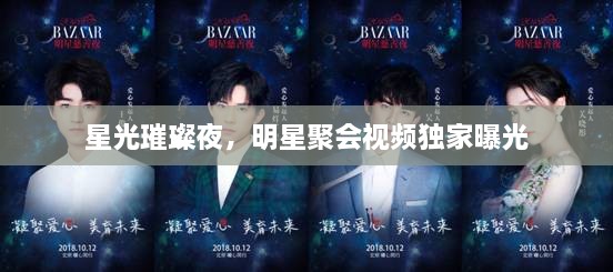 星光璀璨夜，明星聚會(huì)視頻獨(dú)家曝光