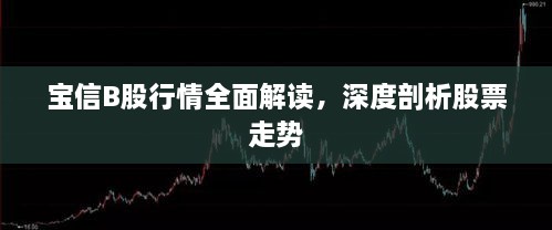 寶信B股行情全面解讀，深度剖析股票走勢(shì)