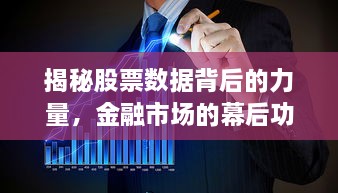 揭秘股票數(shù)據(jù)背后的力量，金融市場的幕后功臣