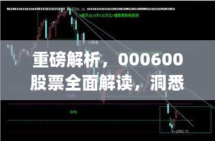 重磅解析，000600股票全面解讀，洞悉投資趨勢！