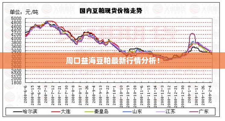 周口益海豆粕最新行情分析！