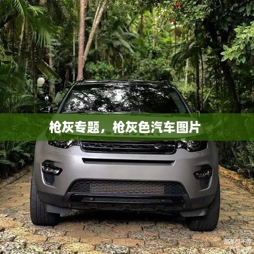 槍灰專題，槍灰色汽車圖片 