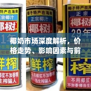 椰奶市場深度解析，價格走勢、影響因素與前景展望