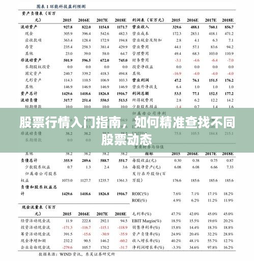 股票行情入門指南，如何精準(zhǔn)查找不同股票動態(tài)