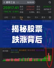 揭秘股票跌漲背后的風(fēng)險與策略，如何巧妙應(yīng)對股市波動？