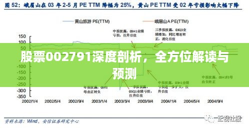 股票002791深度剖析，全方位解讀與預(yù)測(cè)