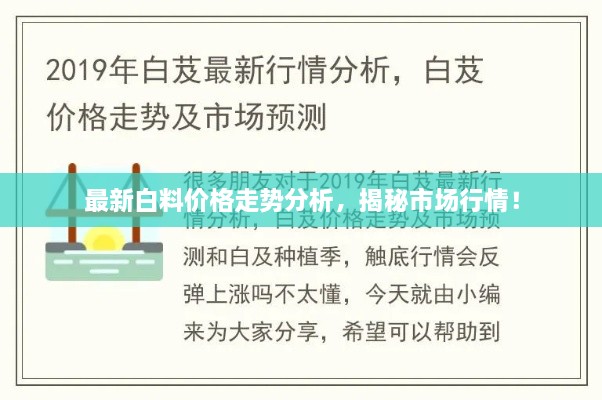 最新白料價格走勢分析，揭秘市場行情！