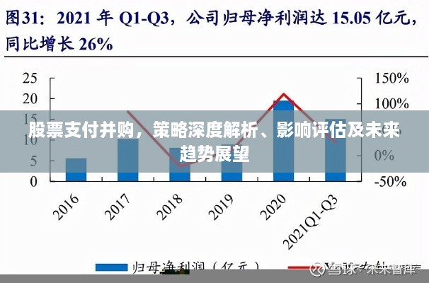 股票支付并購，策略深度解析、影響評估及未來趨勢展望