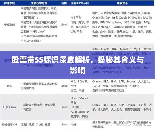 股票帶SS標(biāo)識深度解析，揭秘其含義與影響