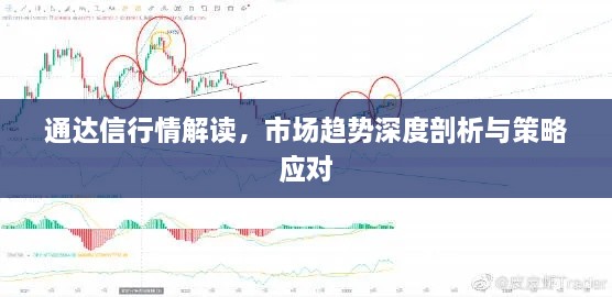 通達(dá)信行情解讀，市場(chǎng)趨勢(shì)深度剖析與策略應(yīng)對(duì)