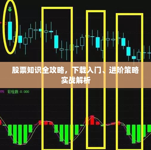 股票知識全攻略，下載入門、進階策略實戰(zhàn)解析