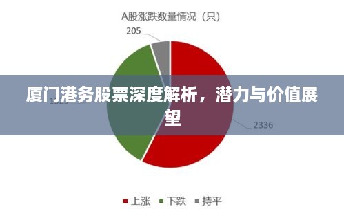 廈門港務(wù)股票深度解析，潛力與價值展望